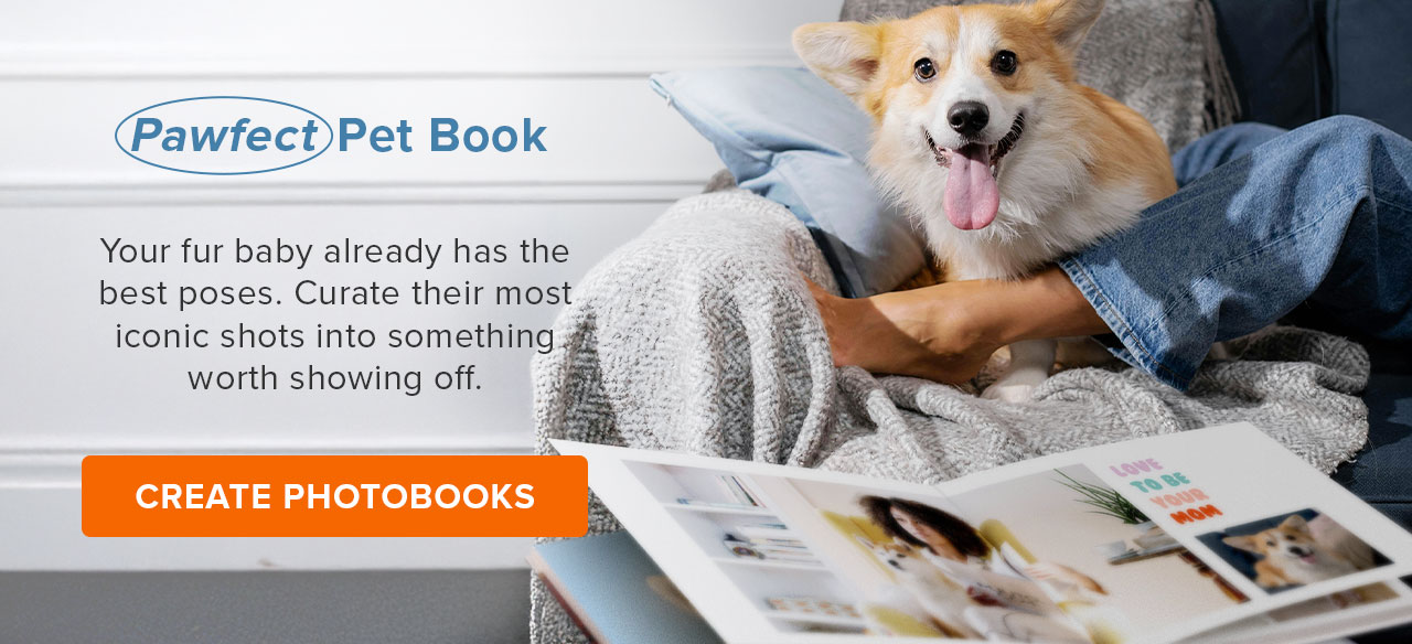 Pawfect Pet Book