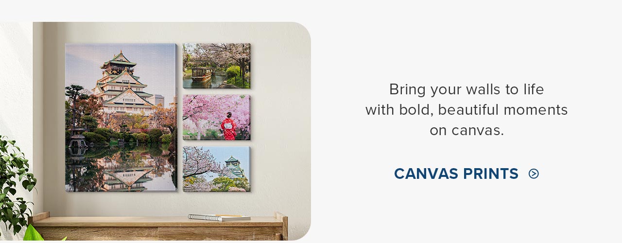 CANVAS PRINTS>