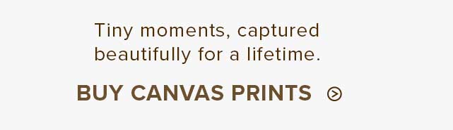 Buy Canvas Prints