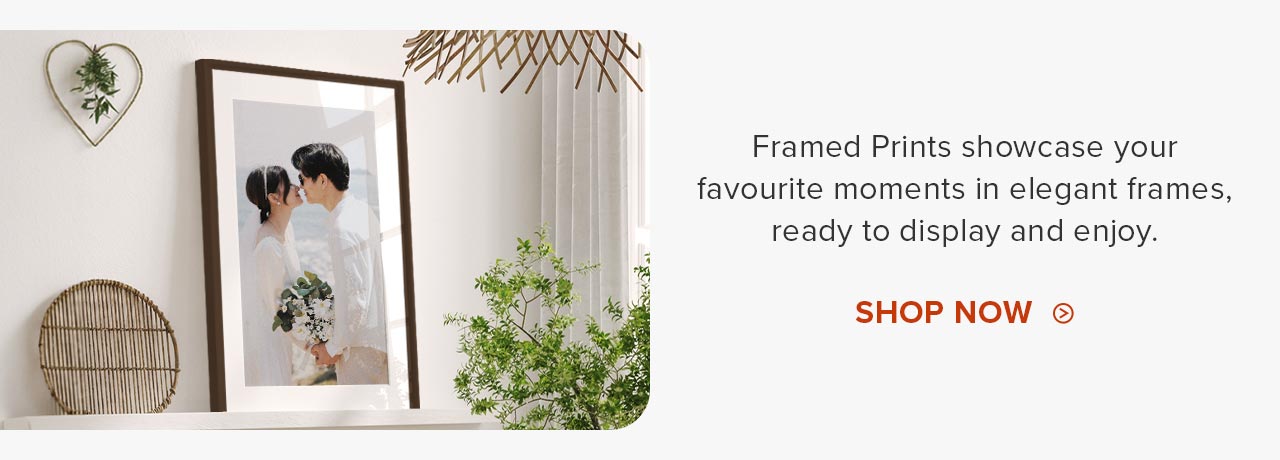 Our Top Picks, Priced Just Right