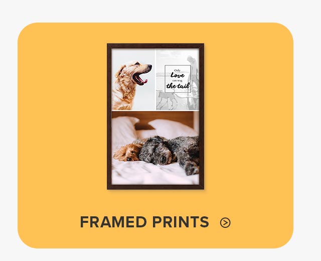 Framed Prints